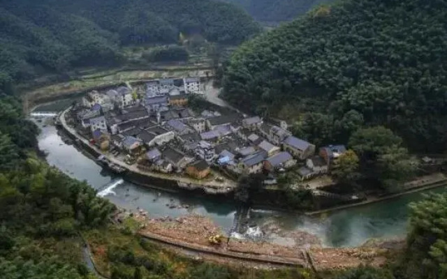 Two mus of Banvilla Tangquan Meisu (SHISHE Store)