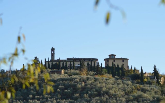 Azienda Agricola Polveraia