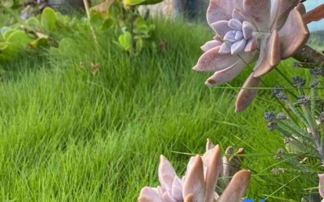 Wenling Jingxin Haishe Homestay