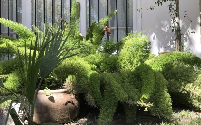 Plan Rokama Suite 586