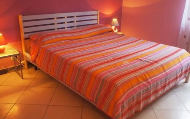 B&B Olympus
