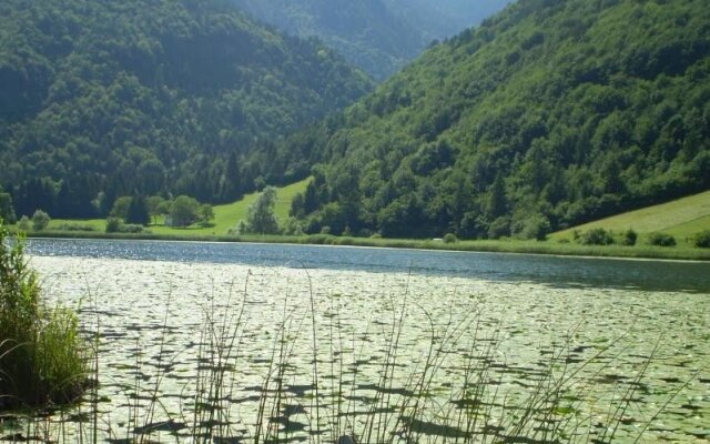 Agenzia Ledro Immobiliare