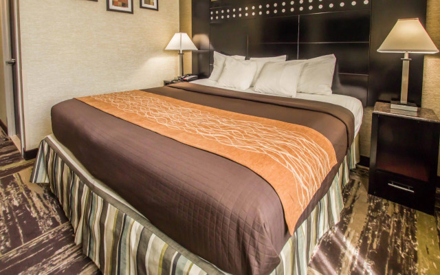Rodeway Inn Bronx Zoo