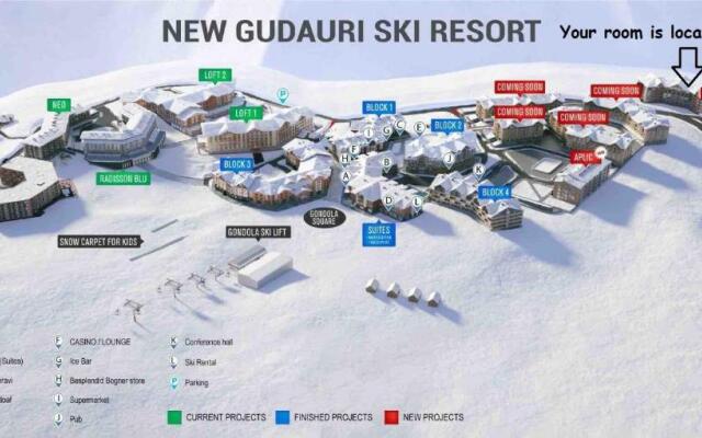 SkyWay Twins Studio Gudauri