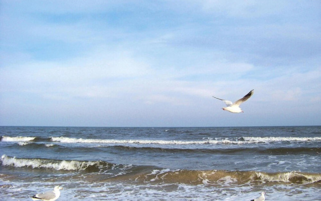 Ferienwohnung Meeresrausch in Ahlbeck