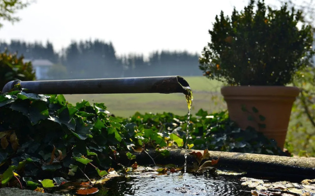 Alluring Apartment in Altreichenau with Garden