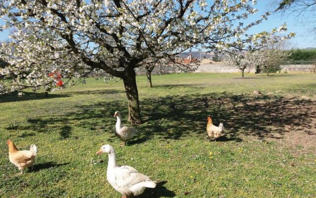 Chez Anne Marie