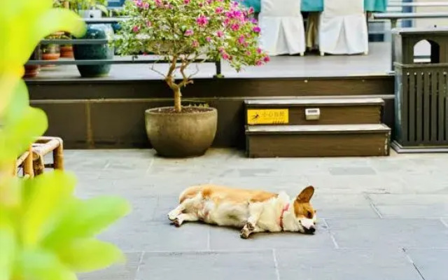 Wuzhishan Yisuli Theme Inn