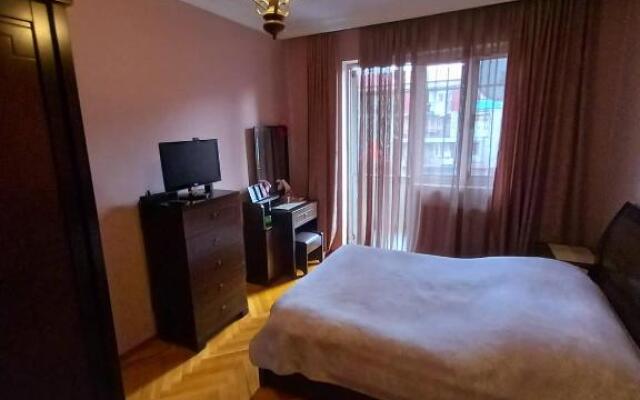 Apartment Rustaveli 162