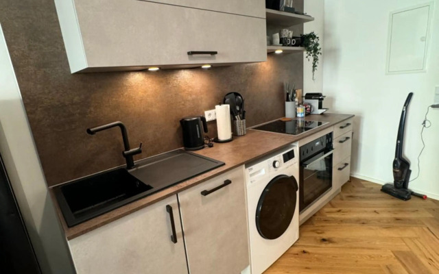 Industrial Apartment Schlossberg