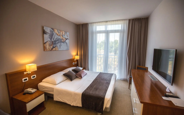 Arena Hotel Holiday