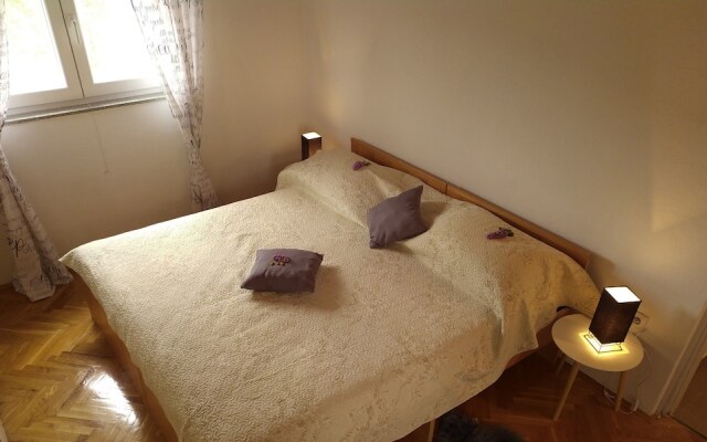 Apartments Pipunic
