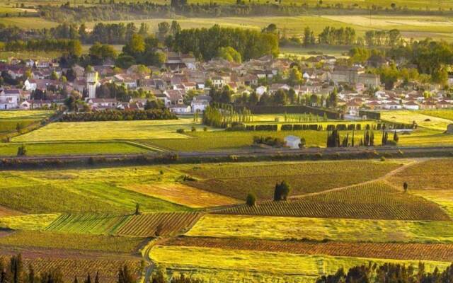 Les 2 Droles d'Oiseaux