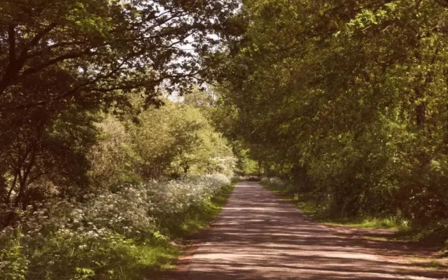 Rustic-chic Holiday Home