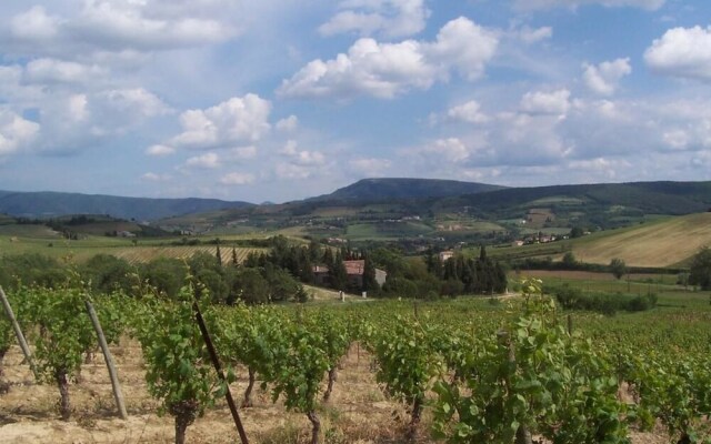 Domaine St Georges
