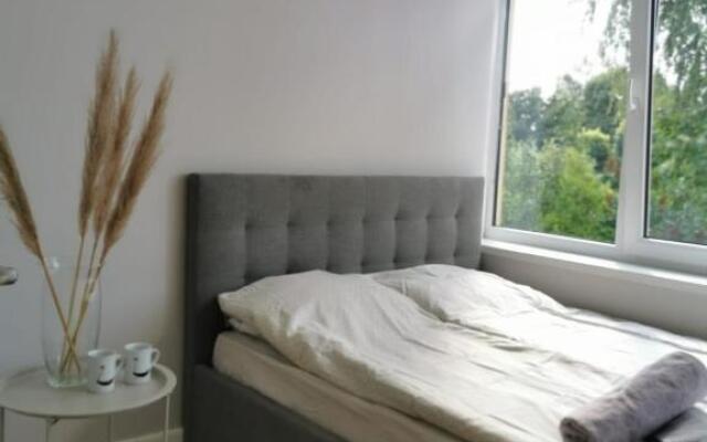 Tolstoi Scandinavian 1 bedroom apartment + free parking