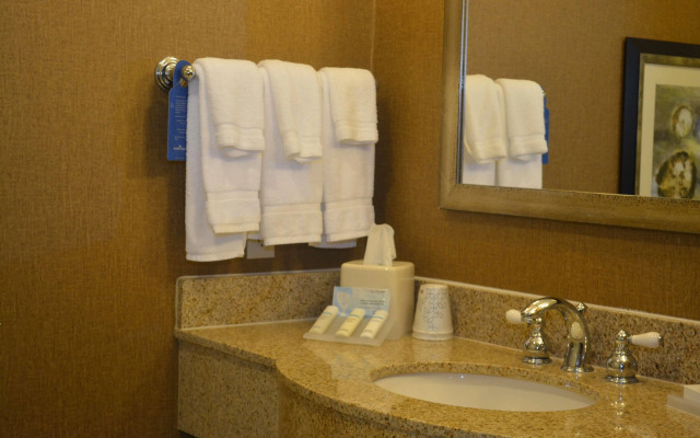 Hilton Garden Inn Houston-Pearland