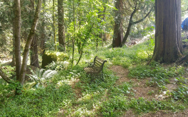 Scott Creek Farm