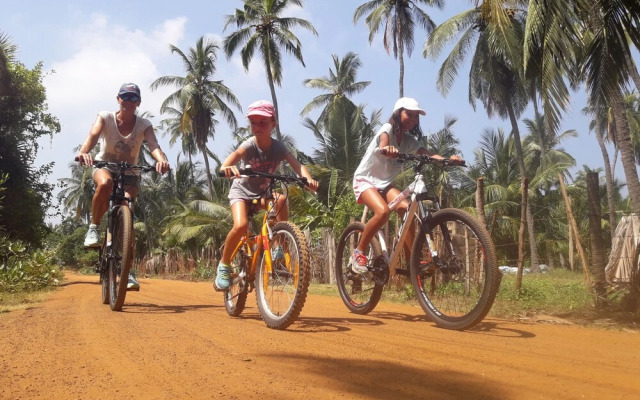 Elements Beach & Nature Resort