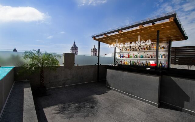 Gatto Blanco Party Hotel