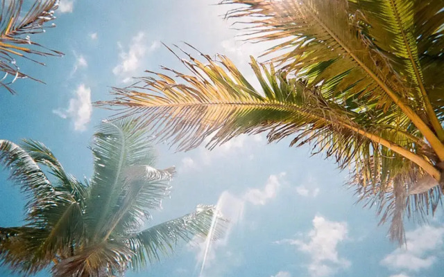 W216 - 5 Bedroom Luxury Villa Near Disney