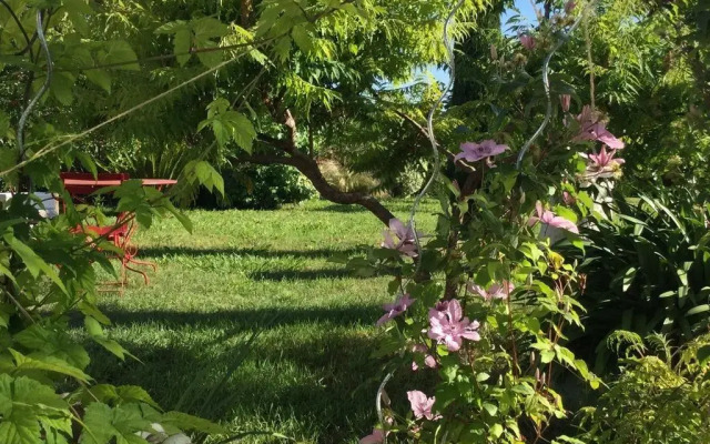 La Mésangeraie