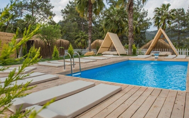 The Hill Glamping