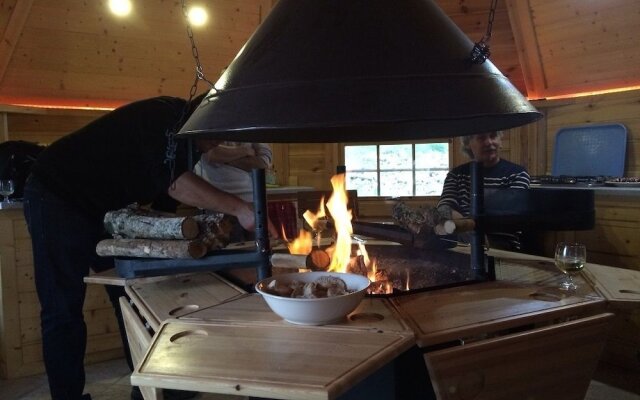 Voler Avec les Oiseaux