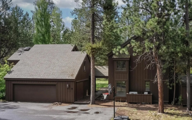 Salishan Lane - Skylight