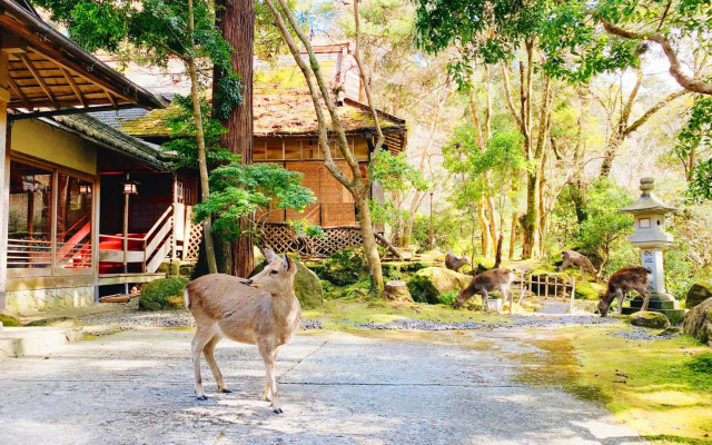 Tsukihitei Ryokan