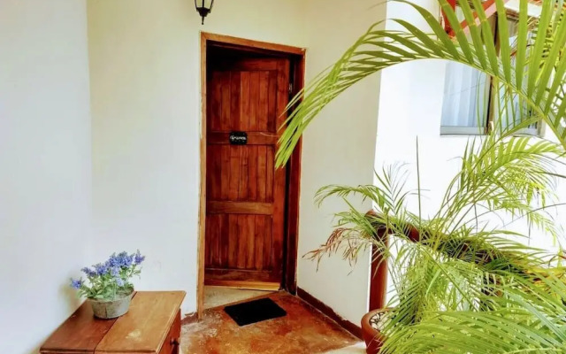 Pata de Perro Bacalar