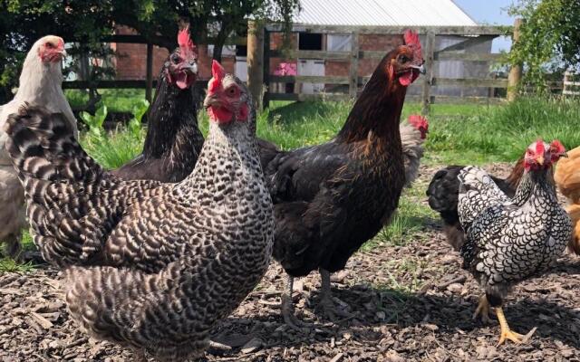 White House Farm - Beautiful Self Contained Courtyard Rooms