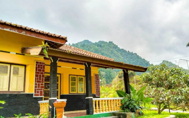 Nguntara Gati