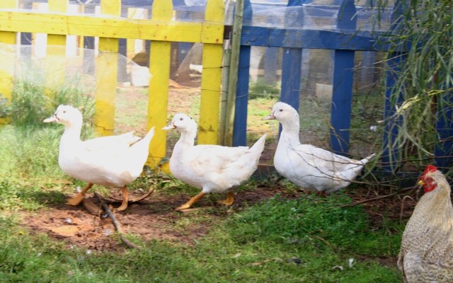 Agriturismo Casale Contenti