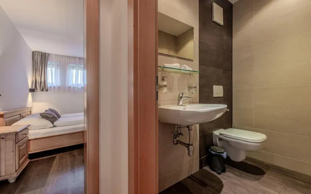 Mount-apartment Directly on Ski-slopes
