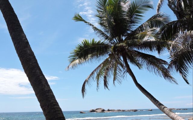 Curry Bowl Restaurant & Turtles Rest