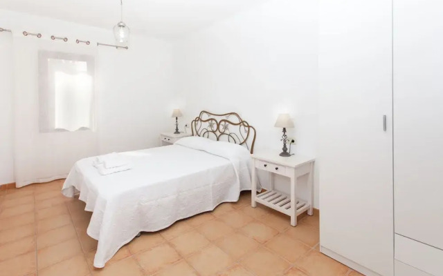 Anahi Home Dracaena 4