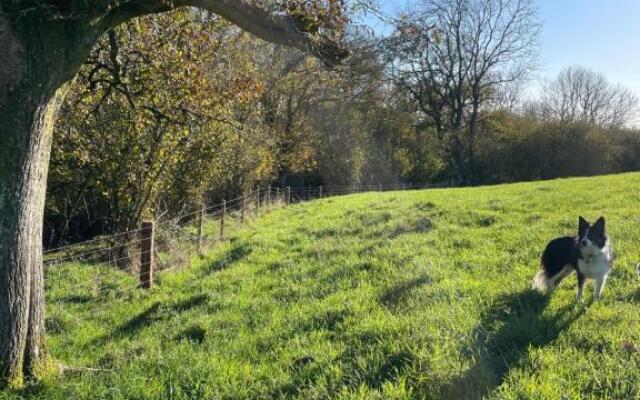 Higher Melcombe Manor