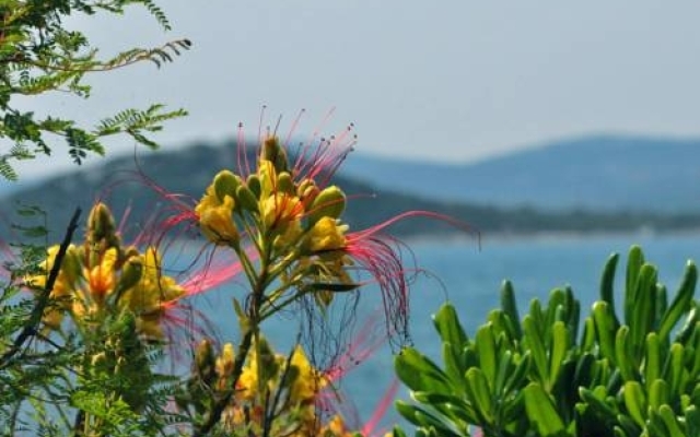 Apartments Esperanca