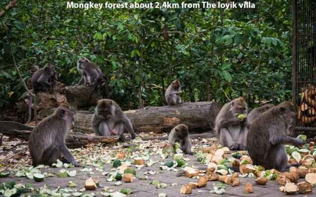 The Loyik Villa Ubud