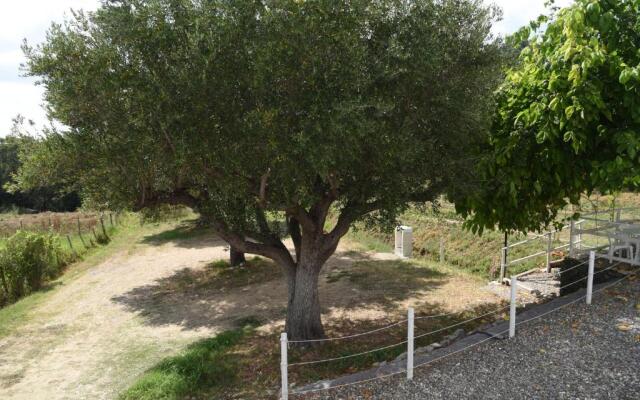 Palinuro Casa Vacanza Melita