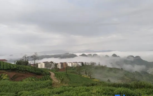 Xinchang Daxu Xiaoruo Homestay