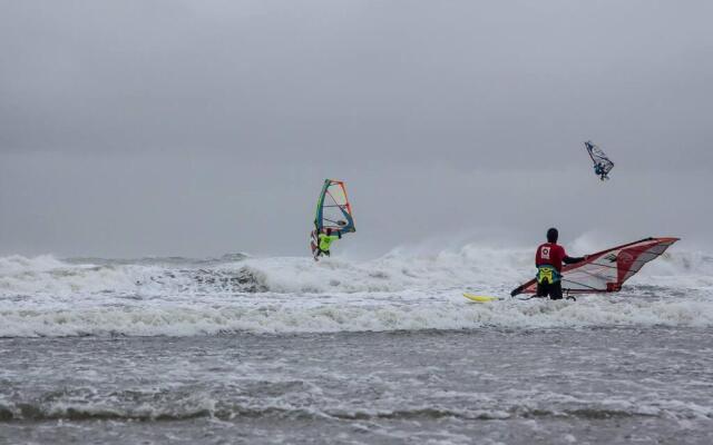 Boszicht aan de Kust 2