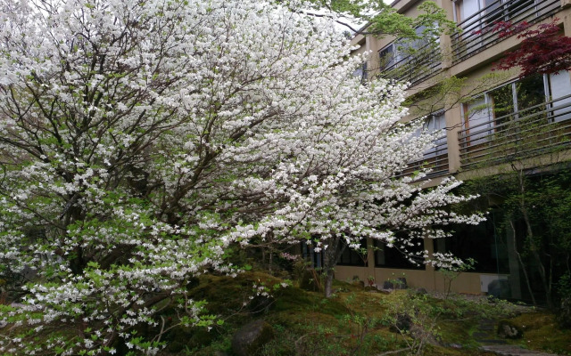 Nikko Hoshinoyado