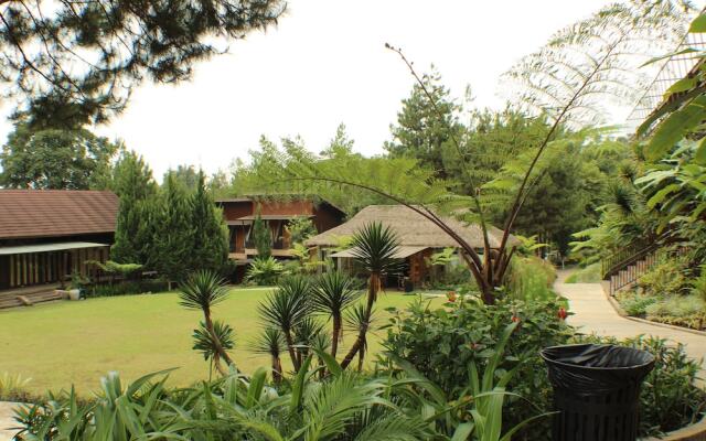 Green Forest Resort & Wedding by Horison