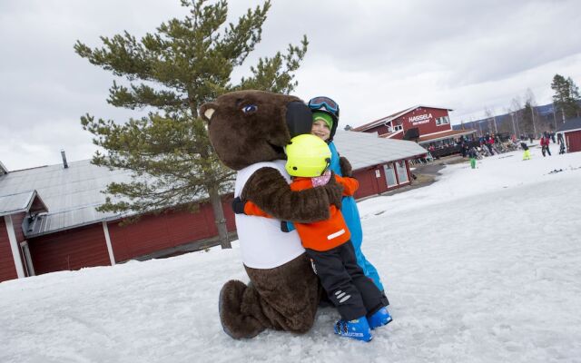 Hassela Ski Resort Cabins