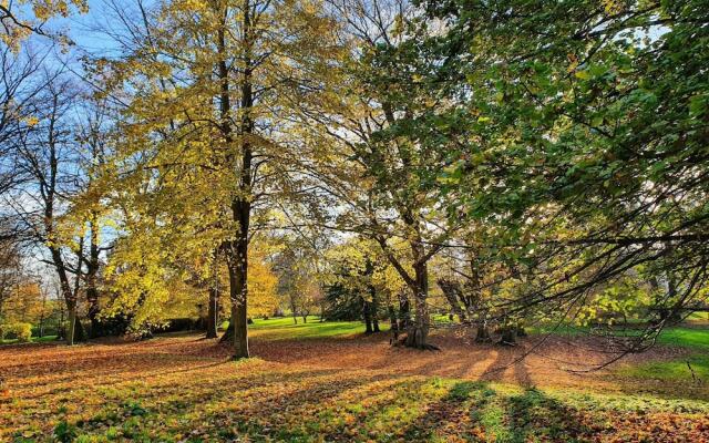 Wohnung Nahe Ostsee Kuhlungsborn