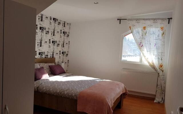 Prahova Valley Apartment
