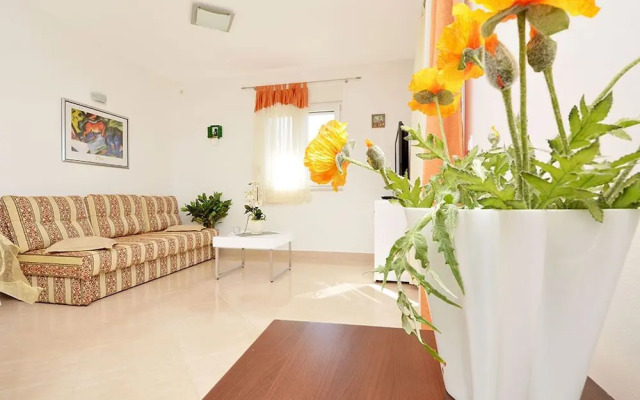 Željko - sea View - H