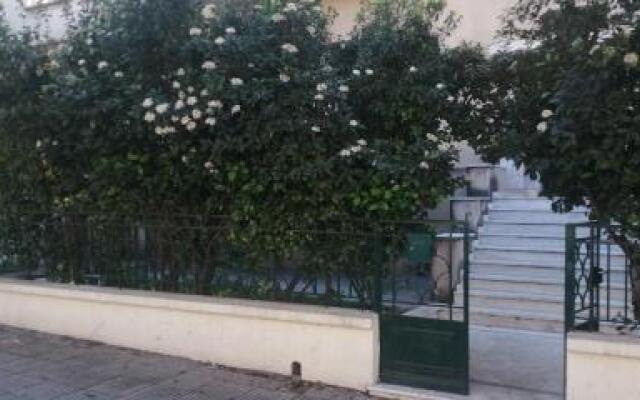 The Athenian House -Duxiana bed